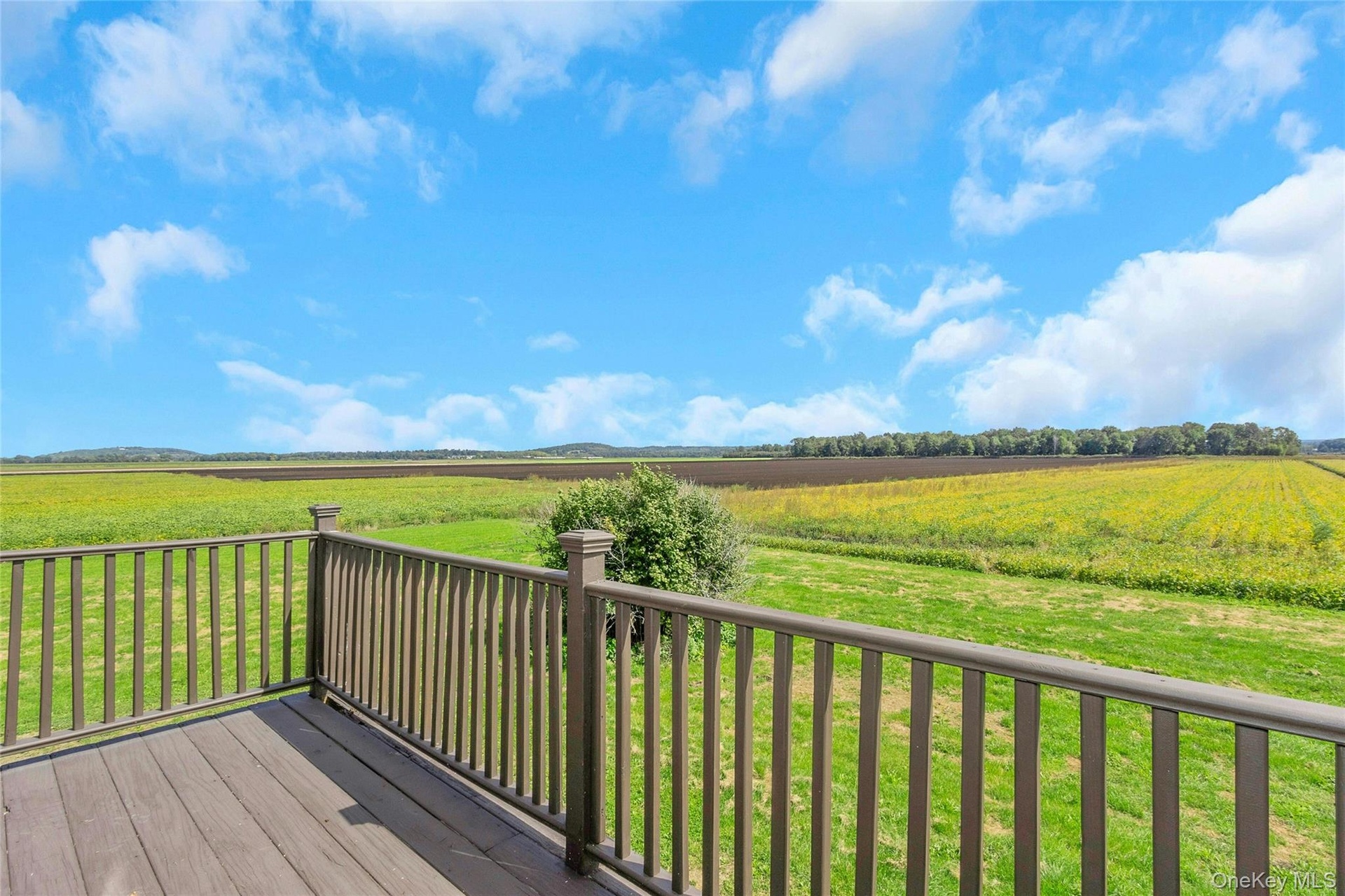 Outdoor deck featuring composite decking and railing, with expansive farmland scenery beyond
