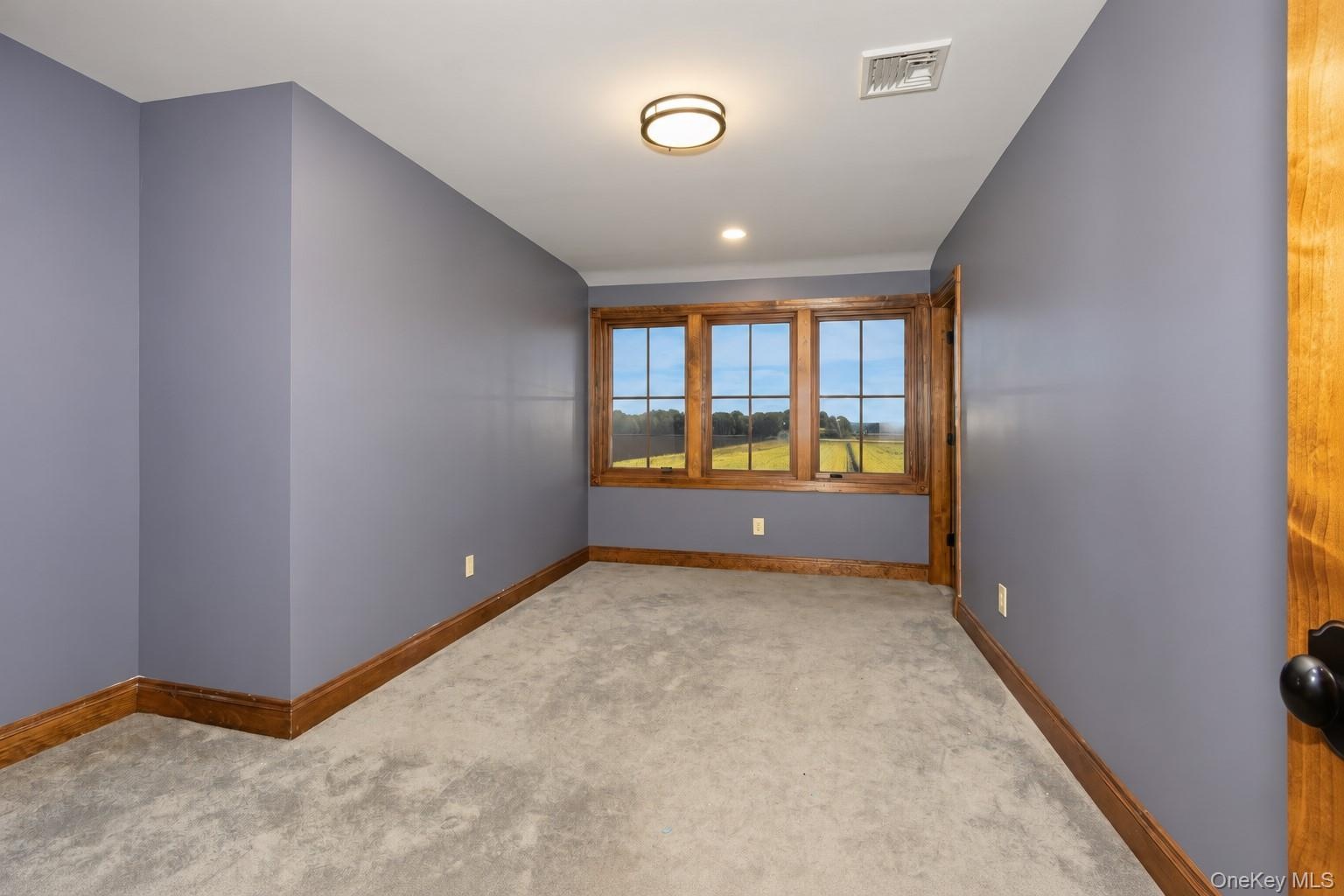 Plush carpeted flooring, wood-finish trim, three wood-framed windows, and a flush-mount ceiling light fixture