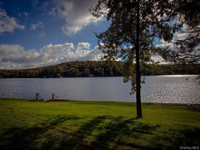 Expansive waterfront property featuring a manicured lawn, mature trees, and a substantial body of water