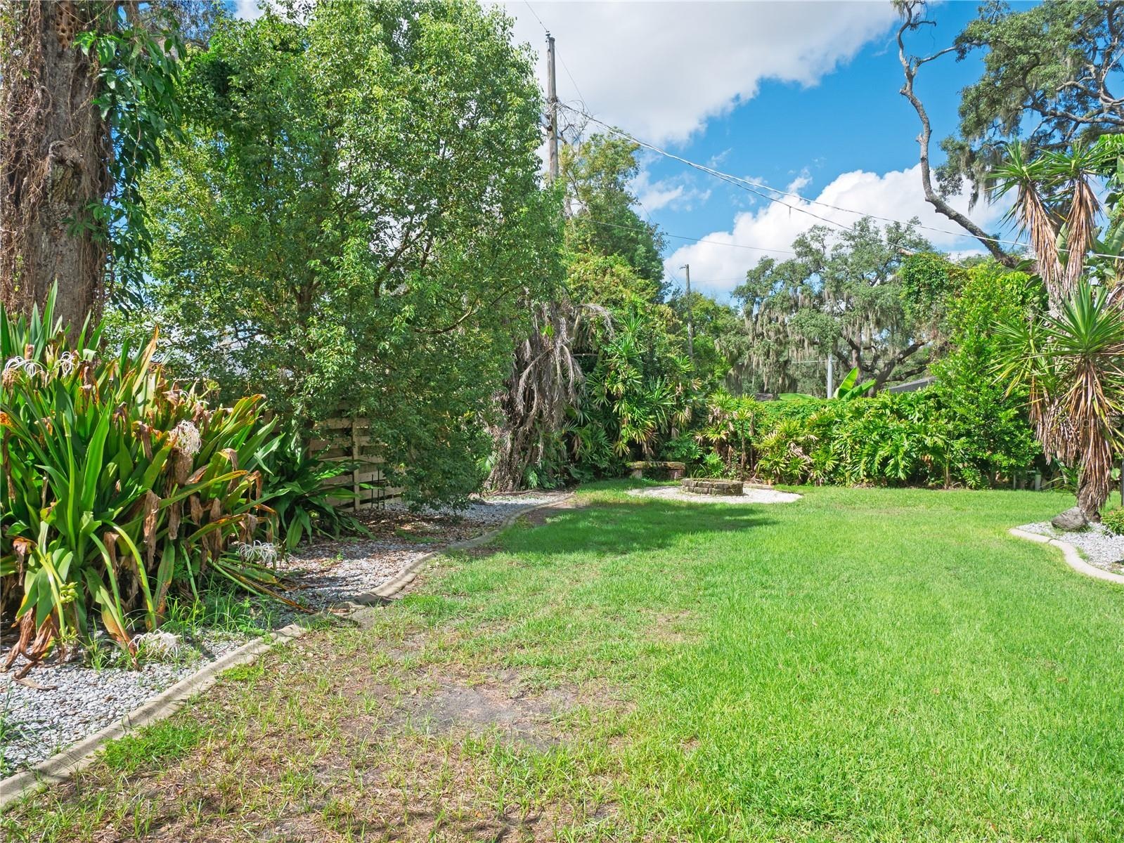 Backyard