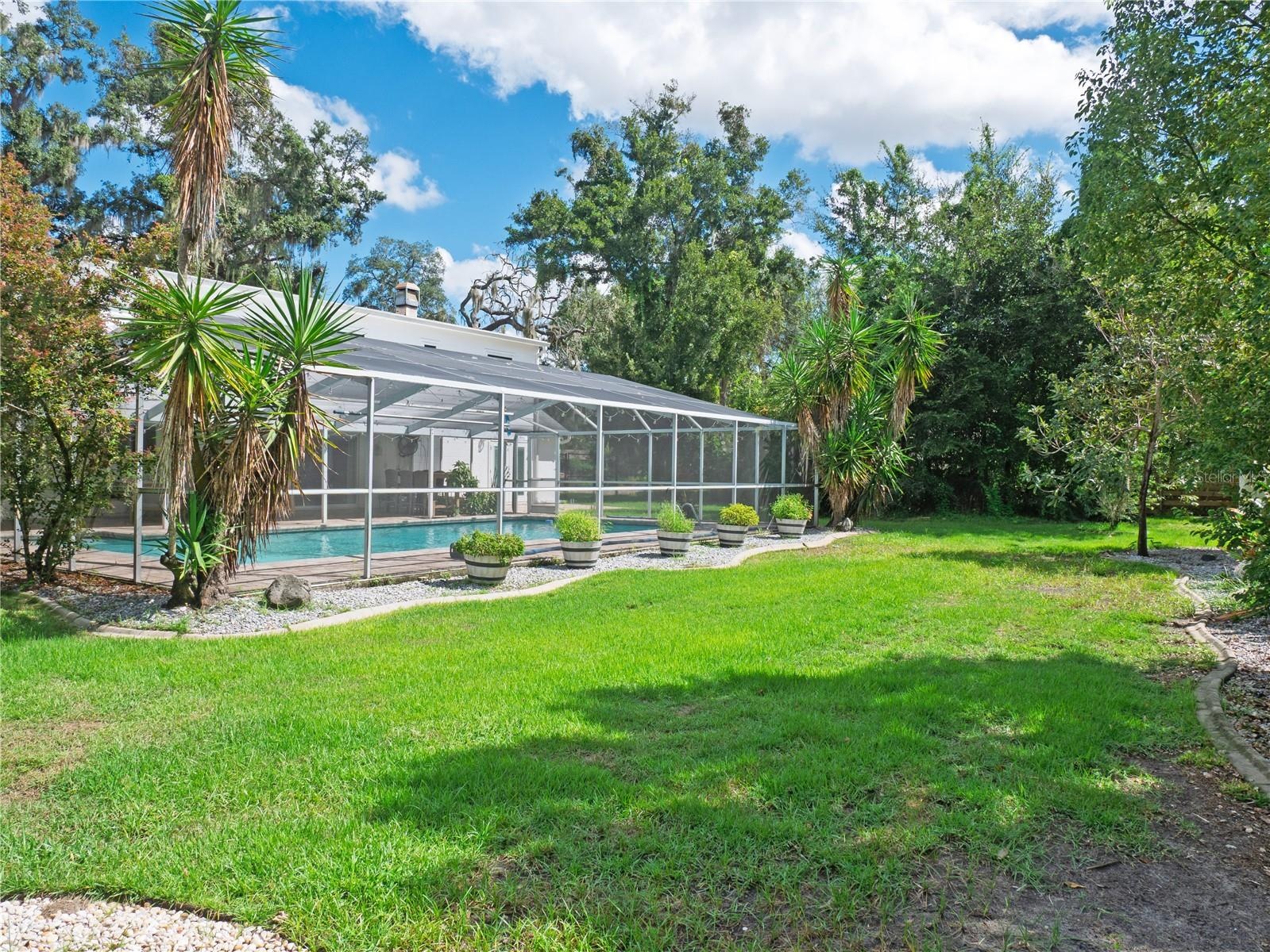Backyard