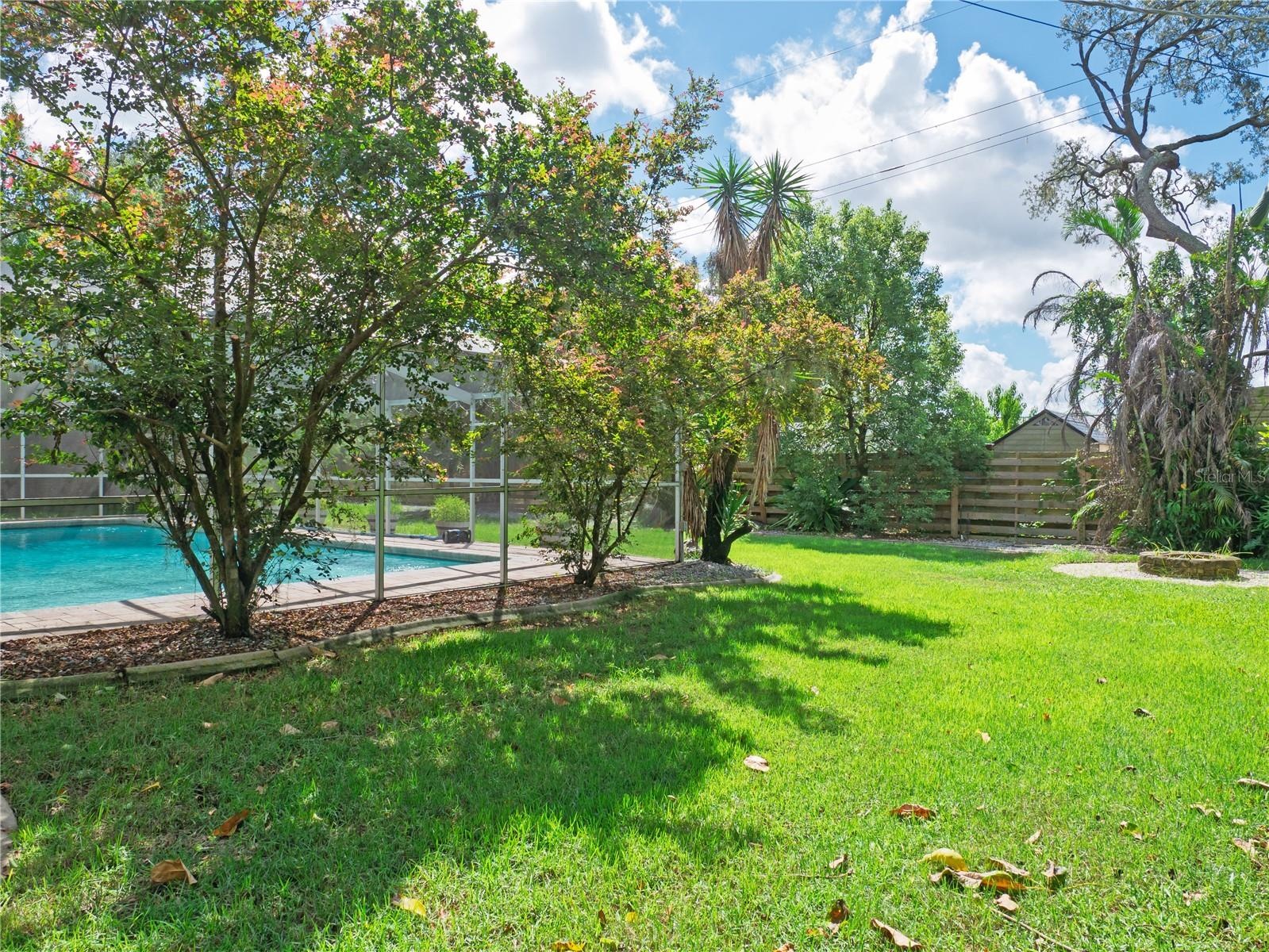 Backyard