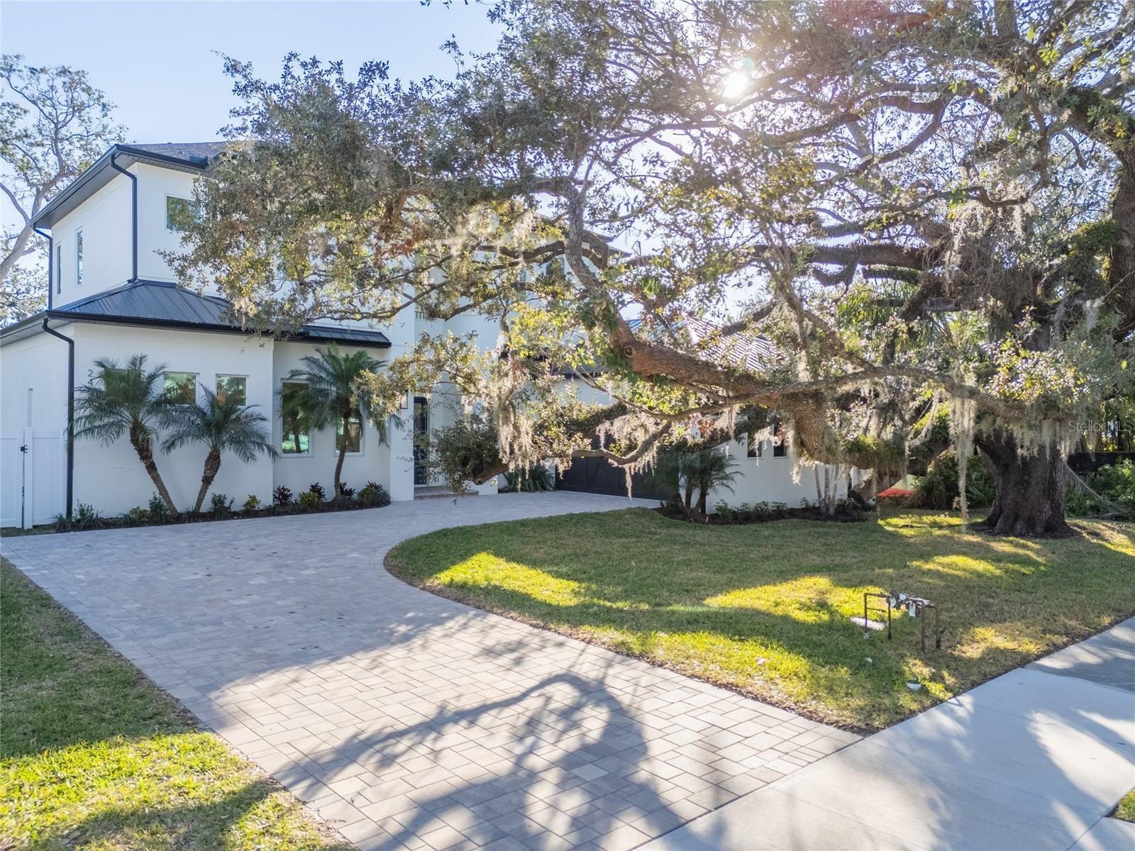Beautiful Live Oak, there is an option to fence in the front yard.
