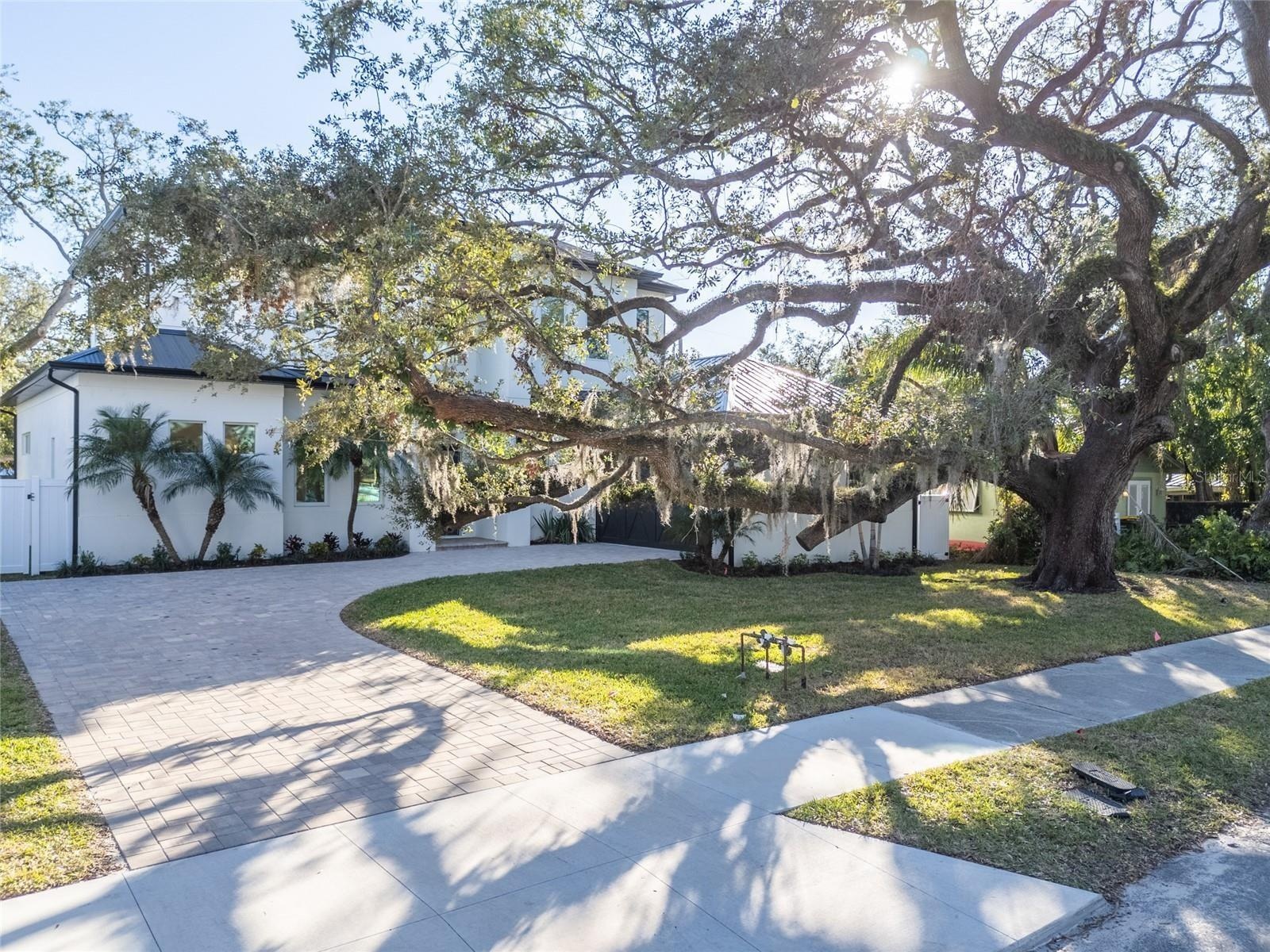Beautiful Live Oak in the front yard, with an option to fence in the front yard.
