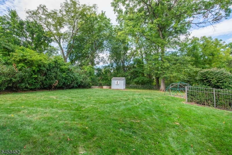 Rear Yard