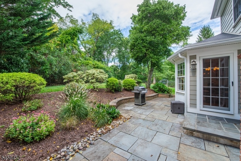 Rear Gardens