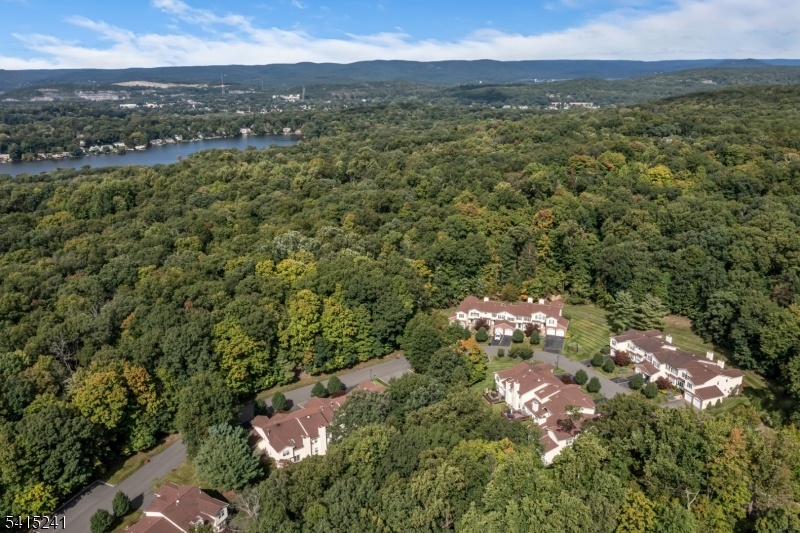 aerial view 2