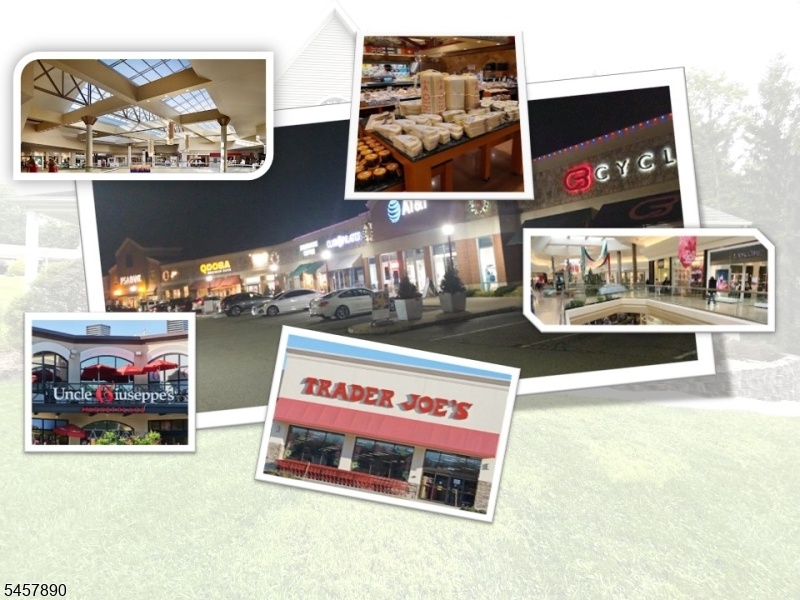 Shopping Opportunities