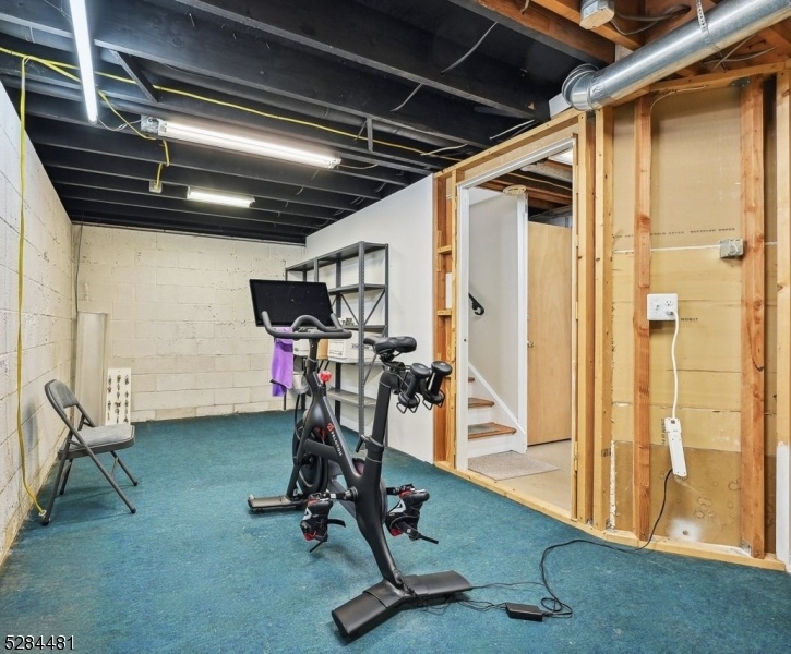 Basement Exercise/Work Shop