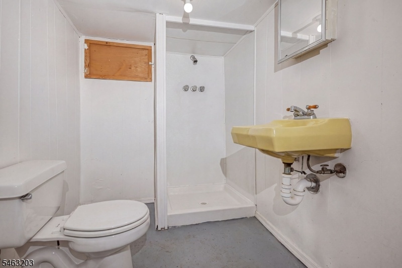 Basement Bathroom Virtual