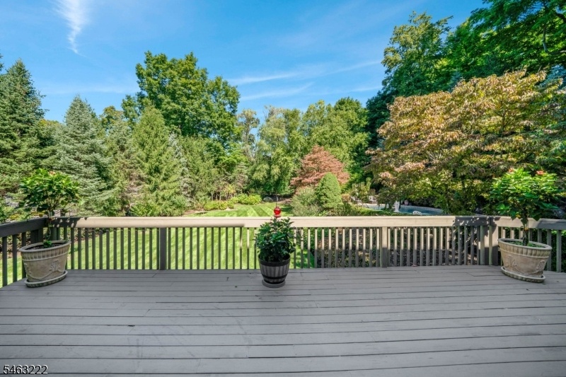 View of backyard
