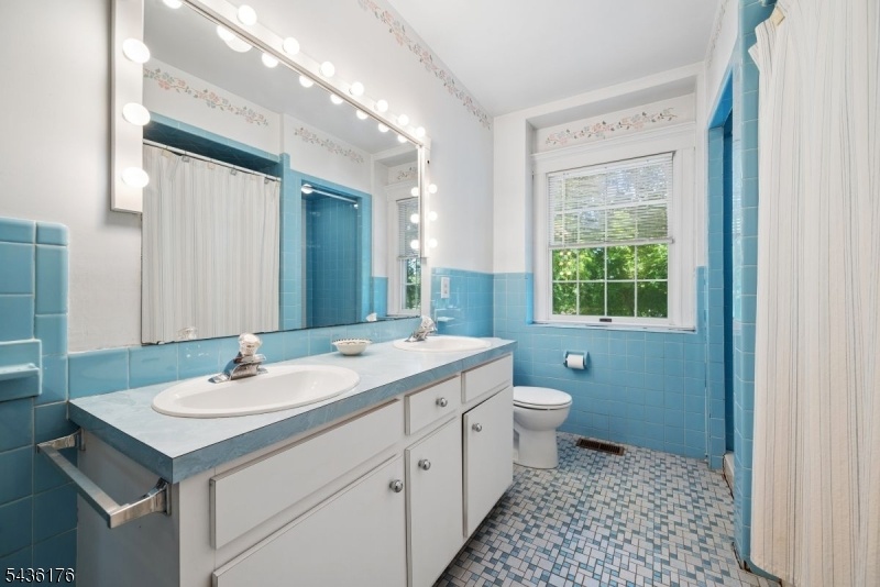 Full Hallway Bathroom