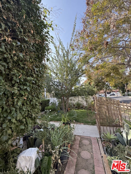 Landscape p1