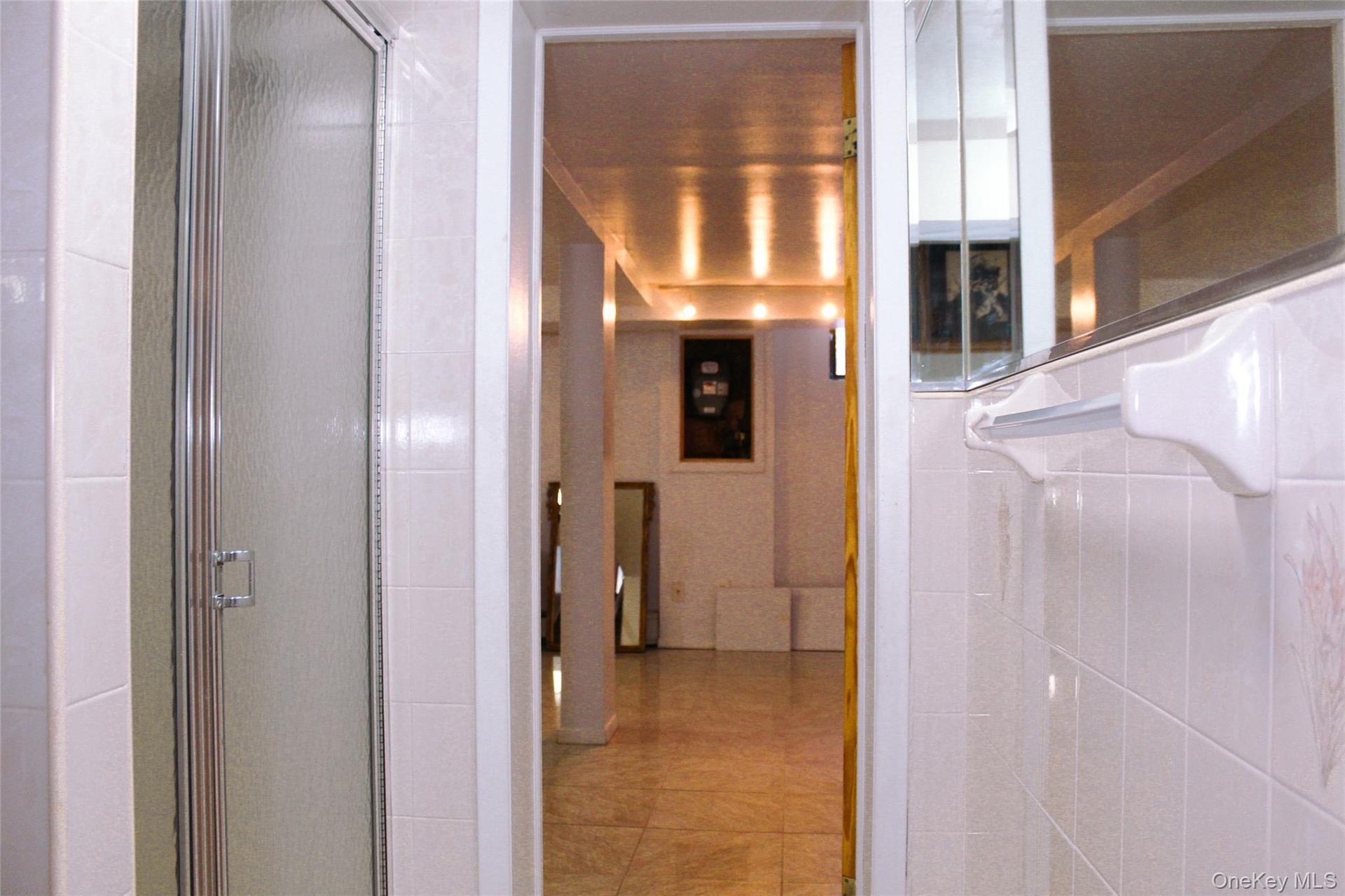 Basement bathroom with tile shower enclosure with frosted glass door