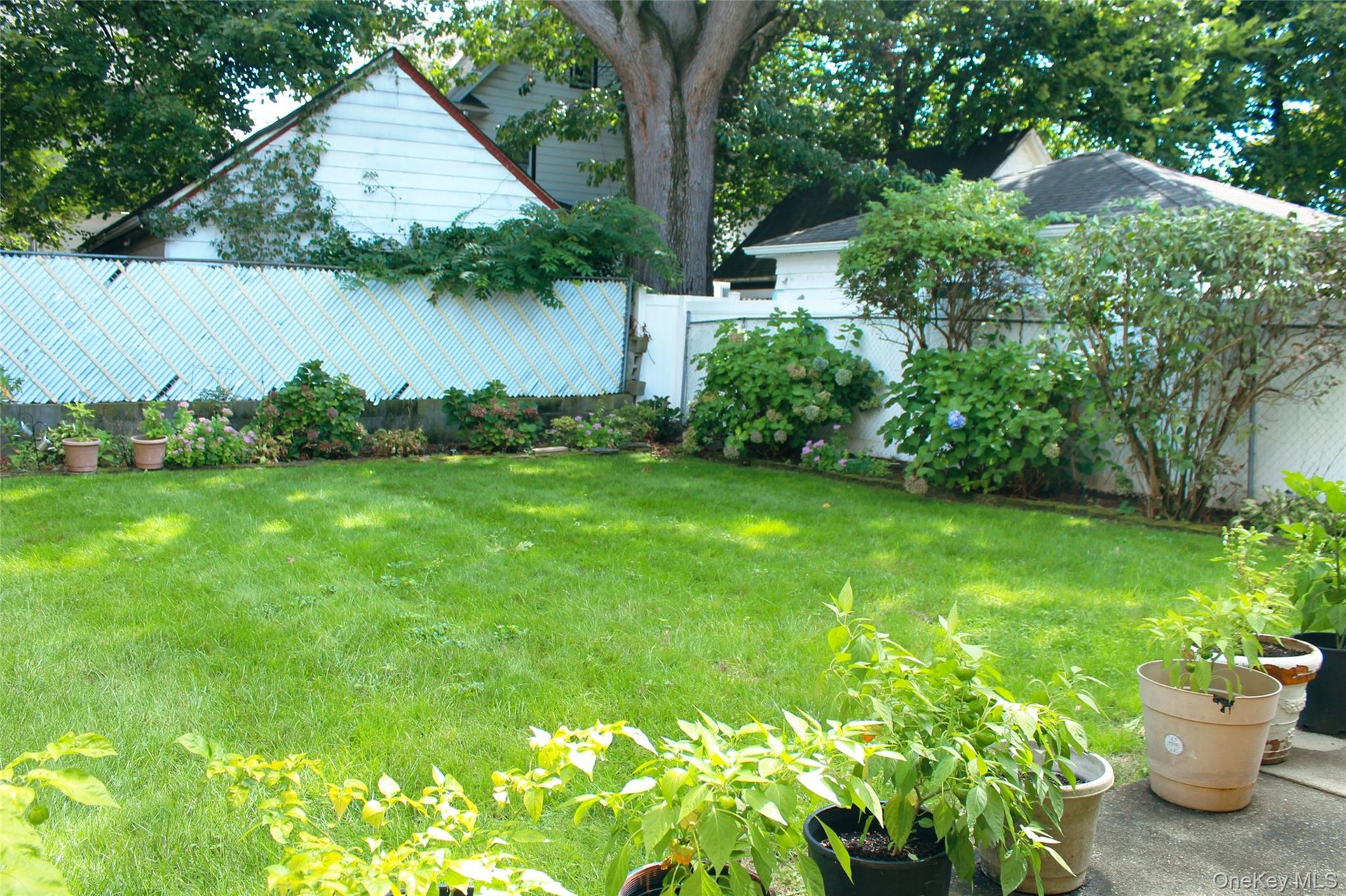 Expansive lawn with perimeter landscaping and mature trees , front and back sprinkler system