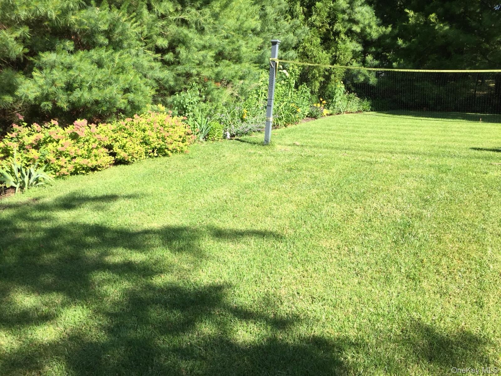 Expansive yard for entertaining and games
