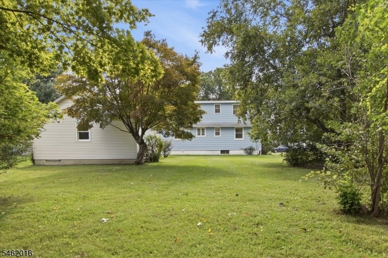 Backyard from rear to house