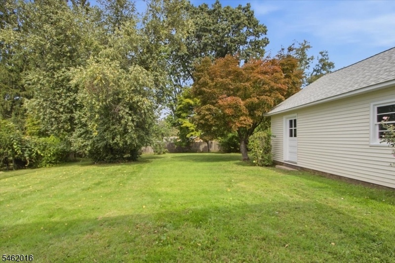 Backyard from the house