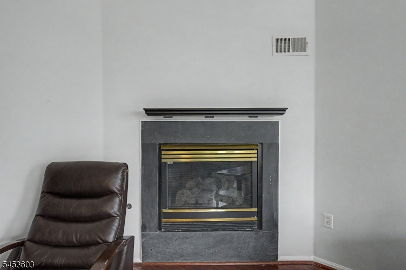 Gas Fire Place