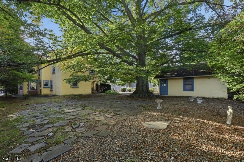 rear yard