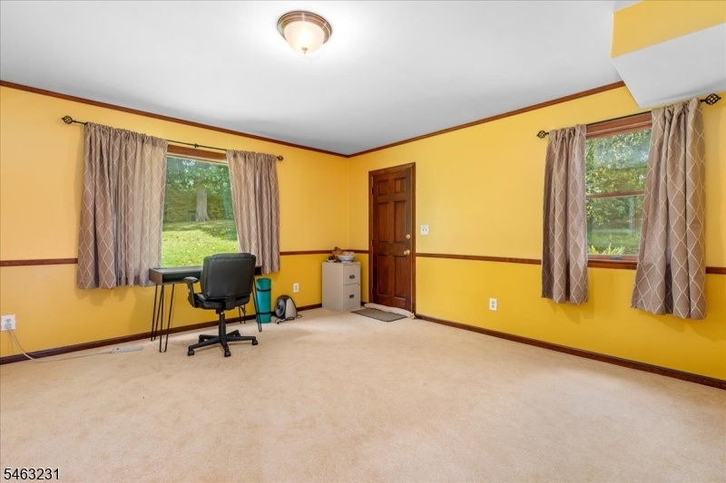 Bonus Room/Office/Playroom