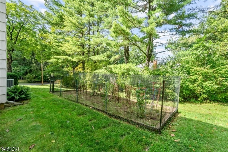 Side Patio