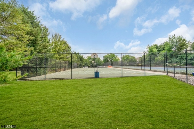 Association Sport Courts