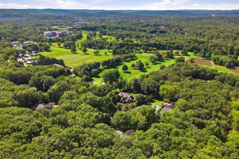 drone pic2