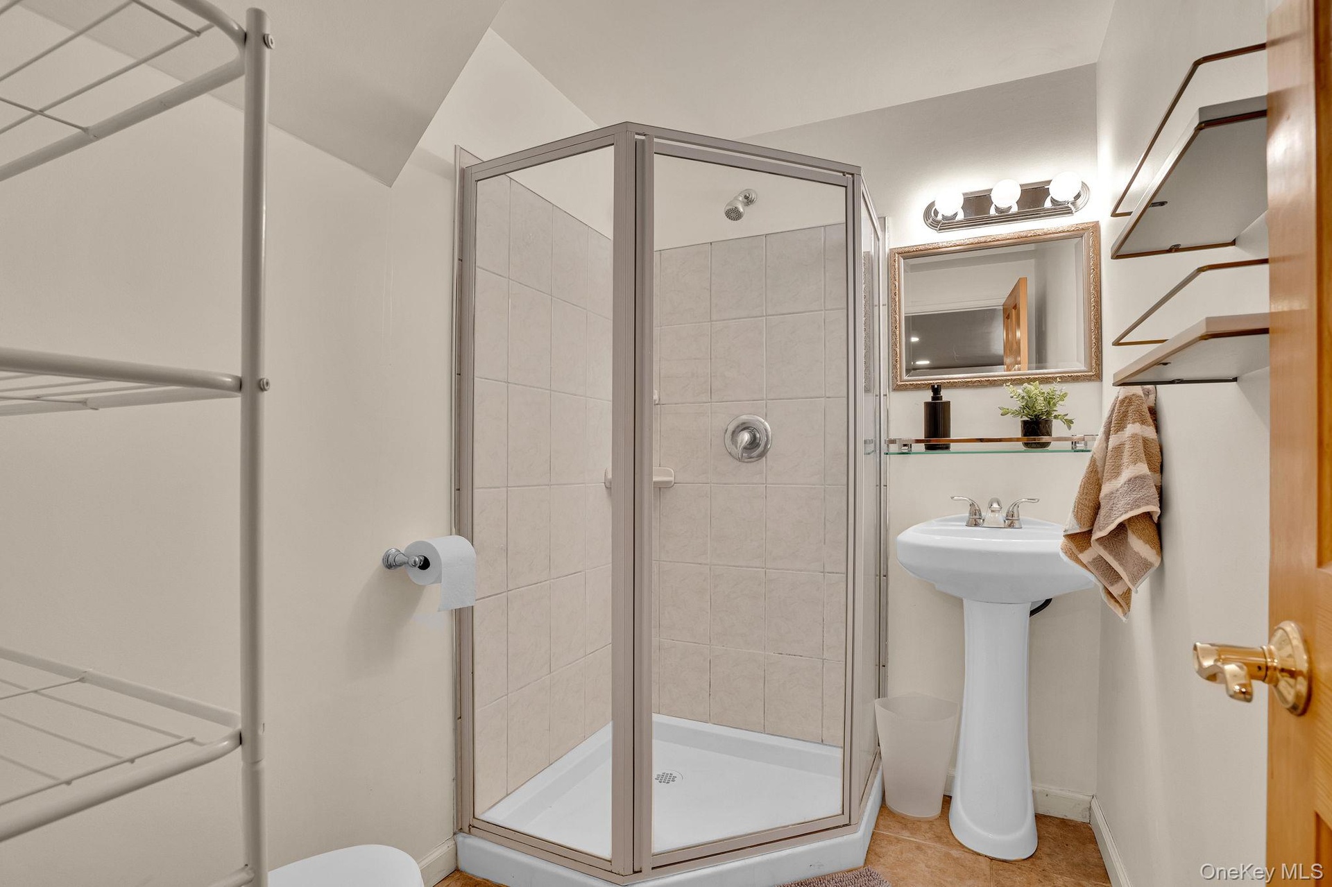 Basement Bathroom
