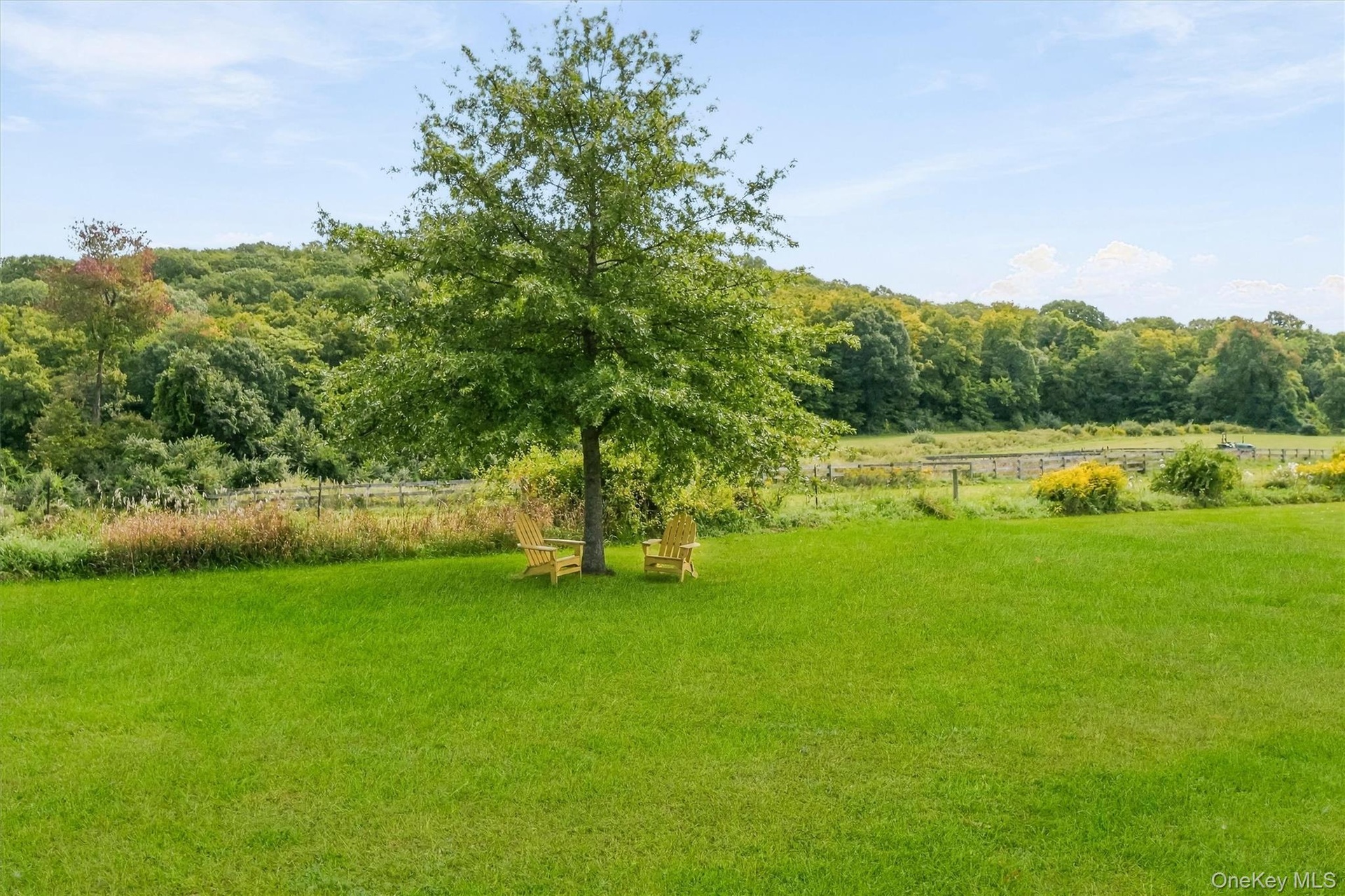 Quiet and peaceful property