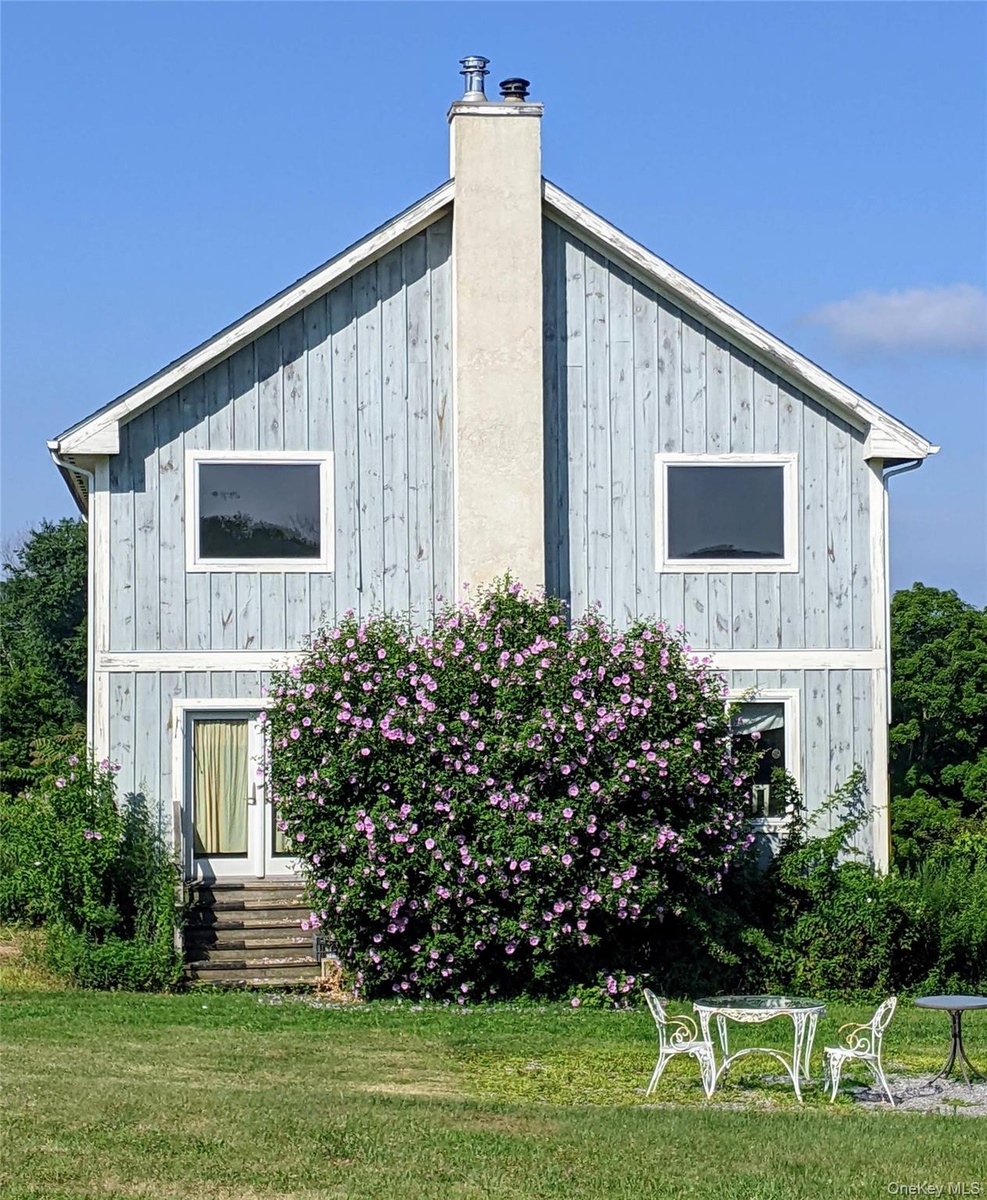 Rose of sharon bushes, gardens, open spaces!
