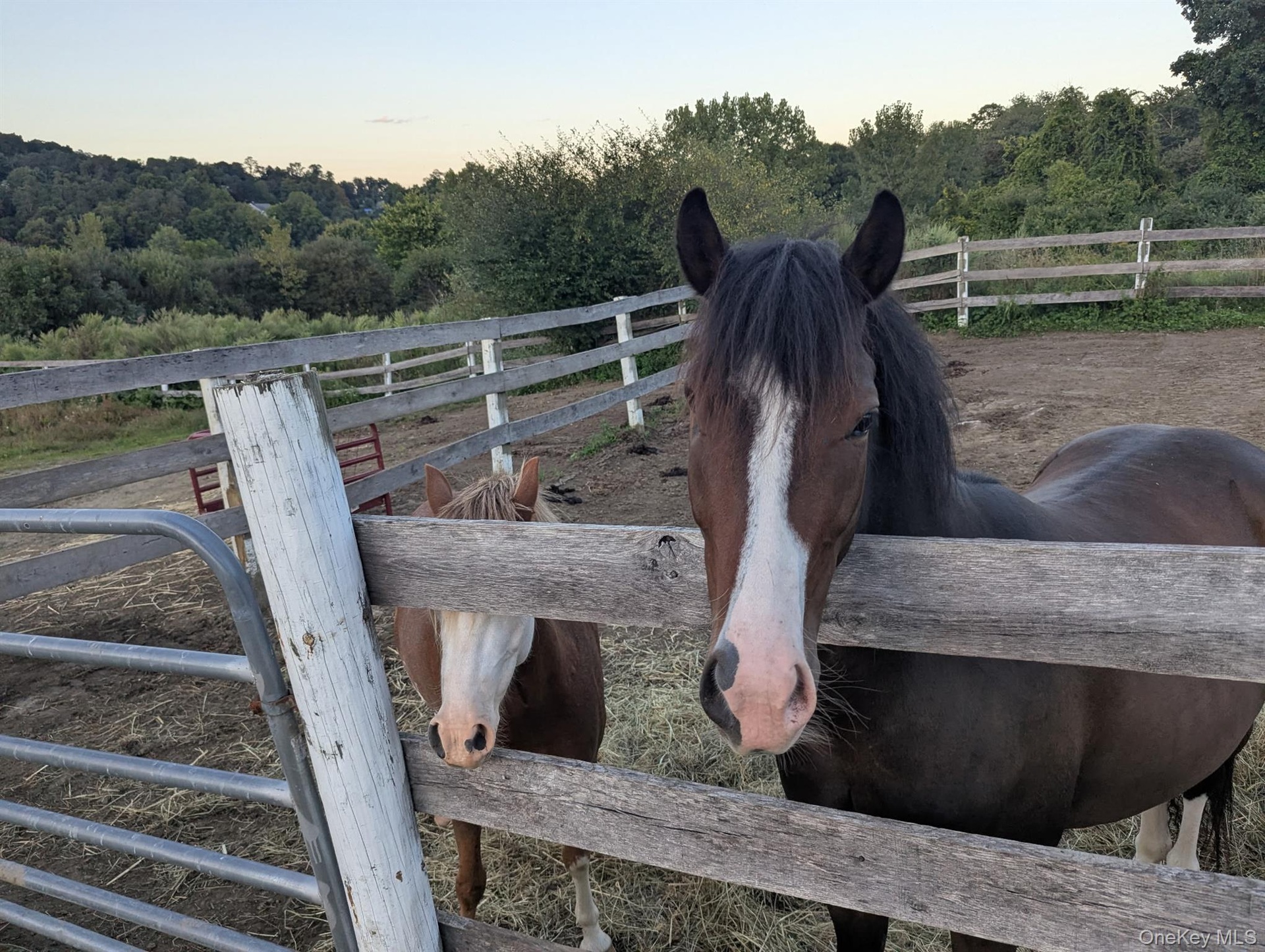 Property has room for a horse of your own!