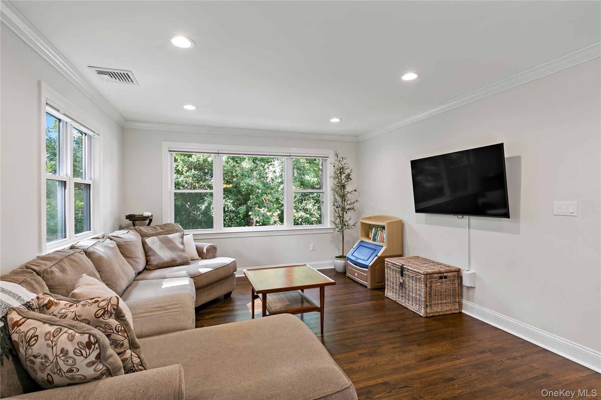 Living Room with lots of natural light
