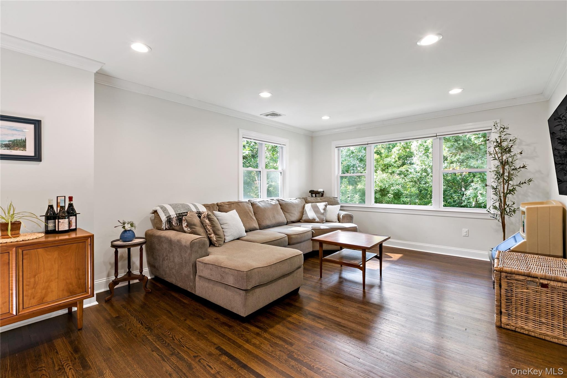 Light filled Living Room