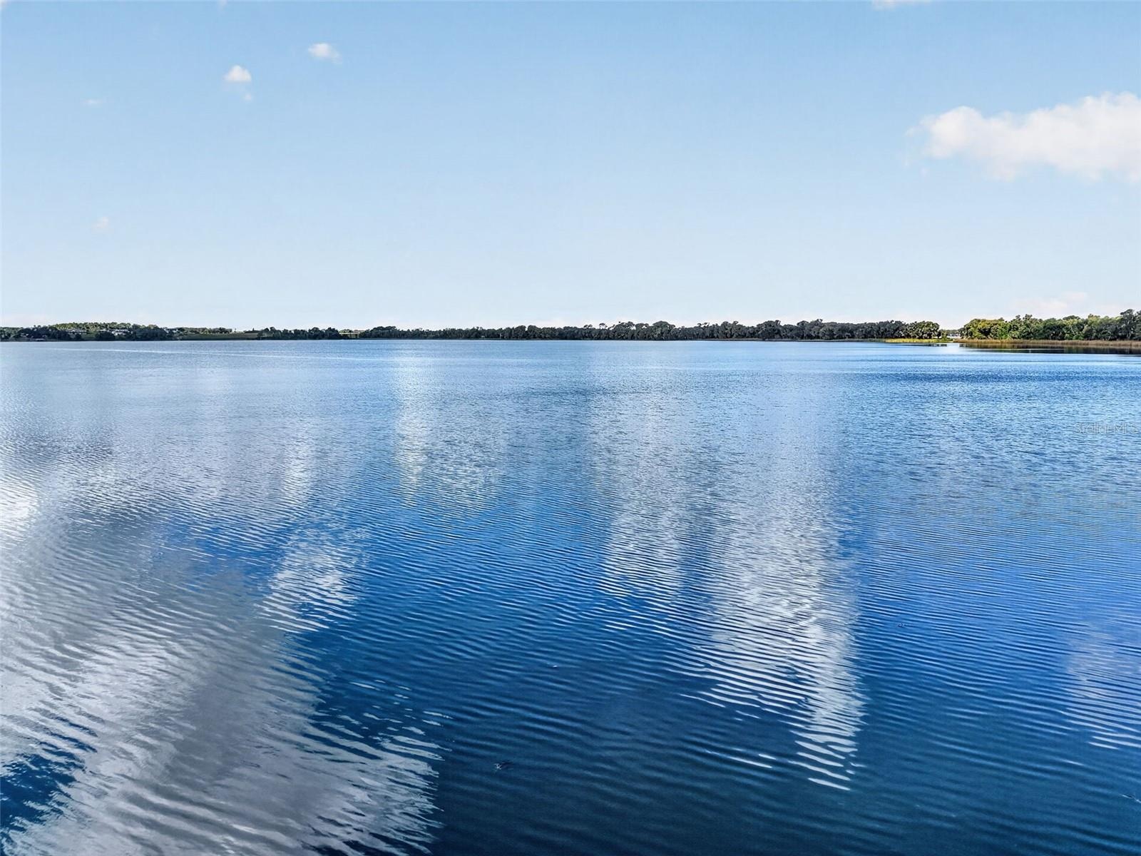Lake Carlton, Mount Dora FL
