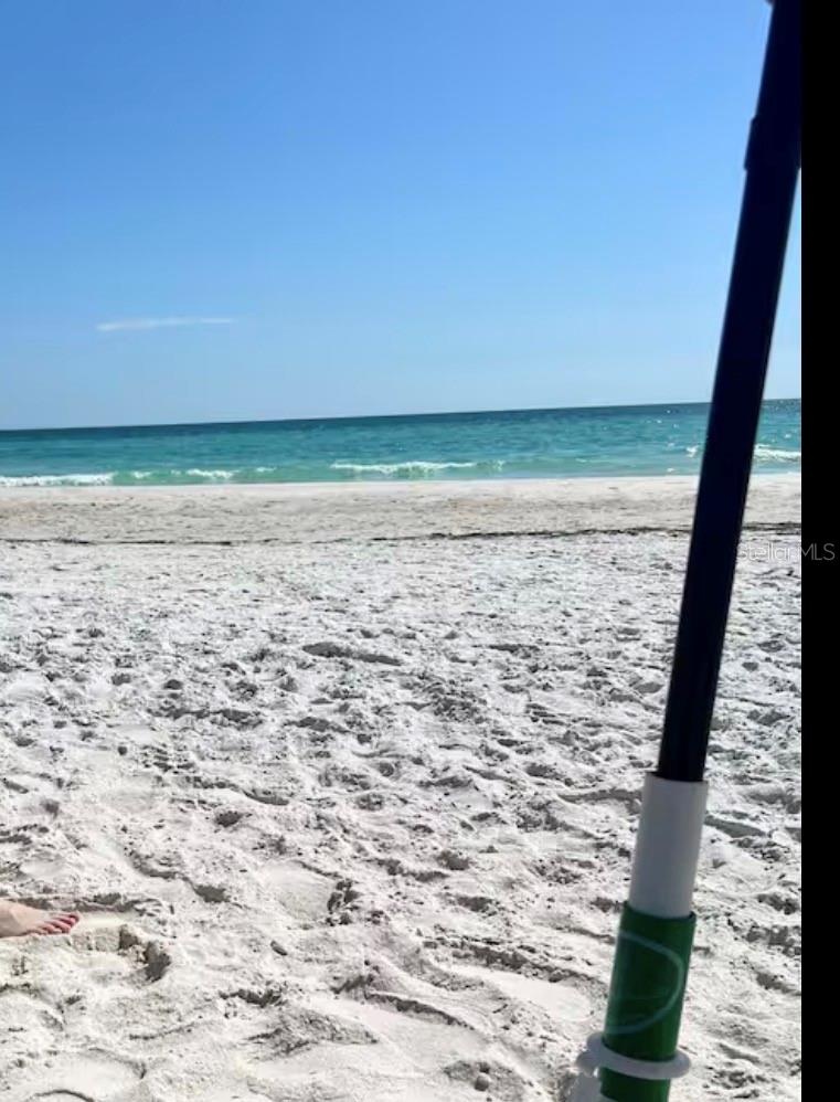 Island Life