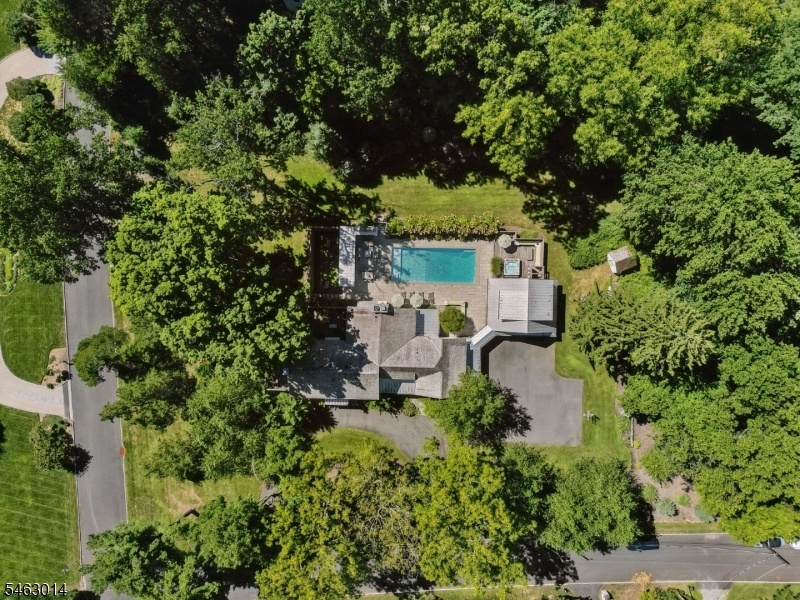 Ariel View