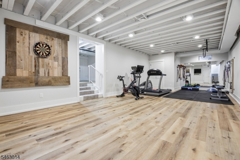 Basement/gym