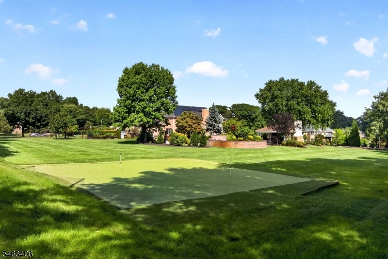 CHIPPING GREEN