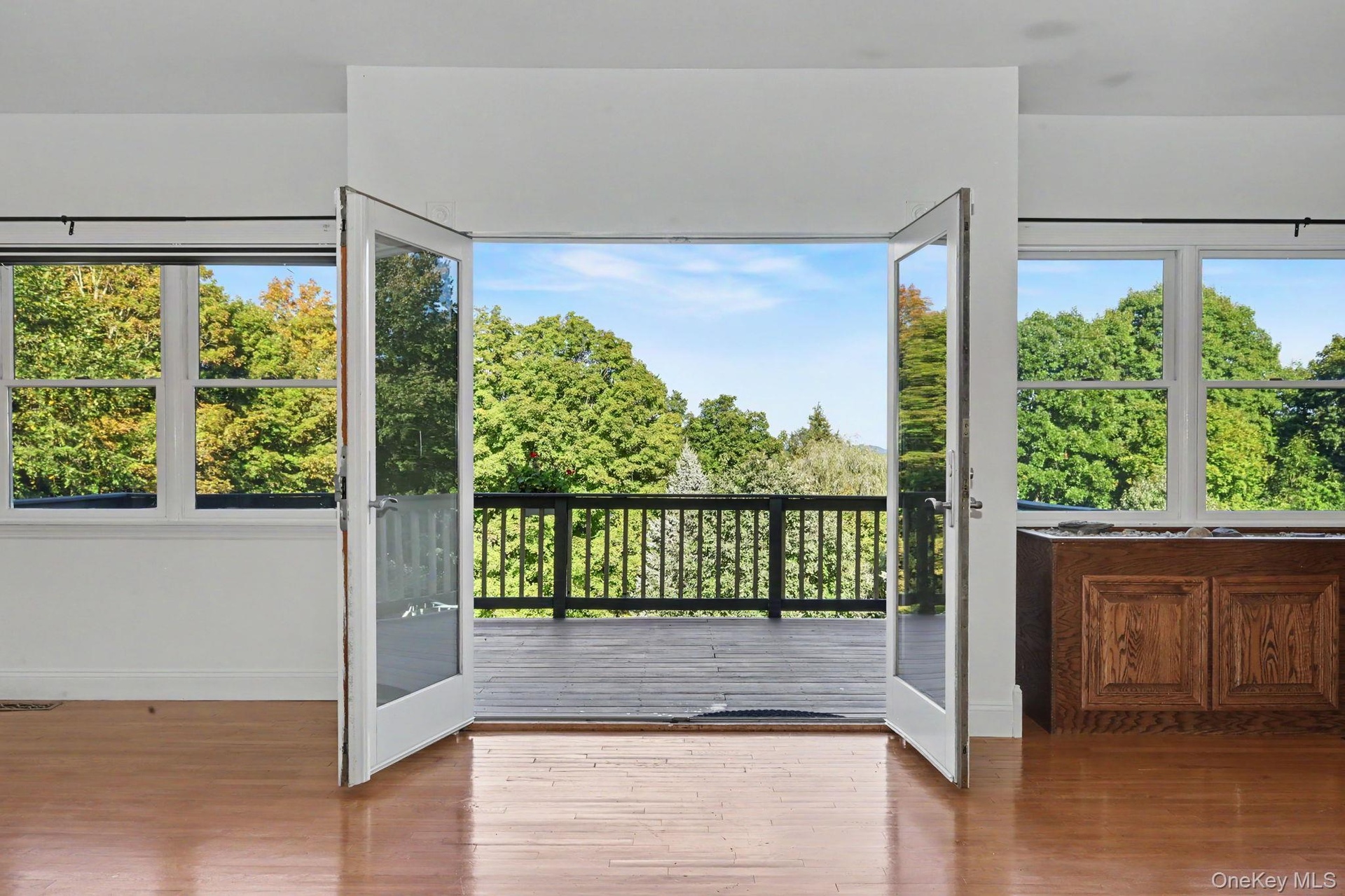 Access to Deck
