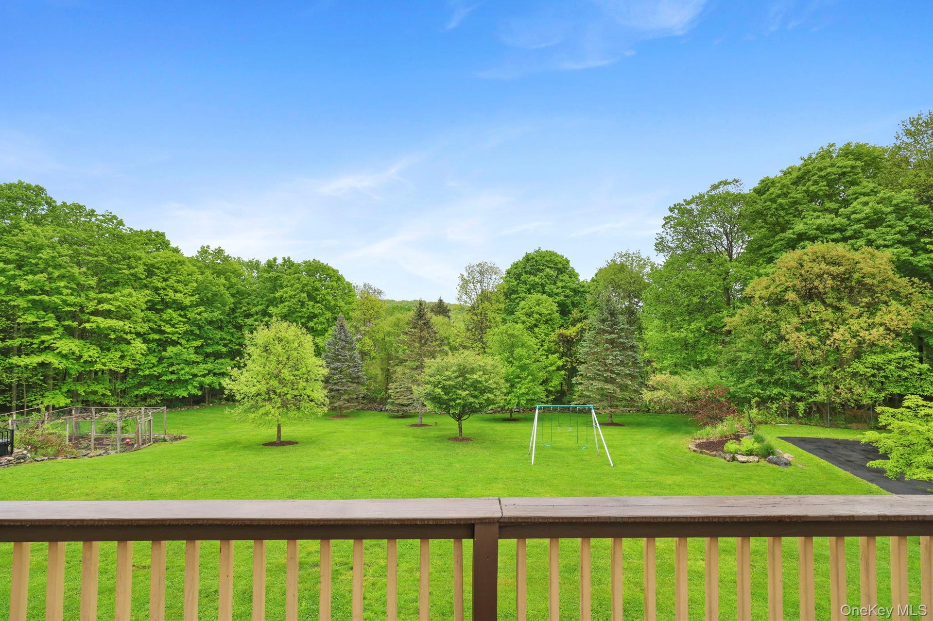 Back yard