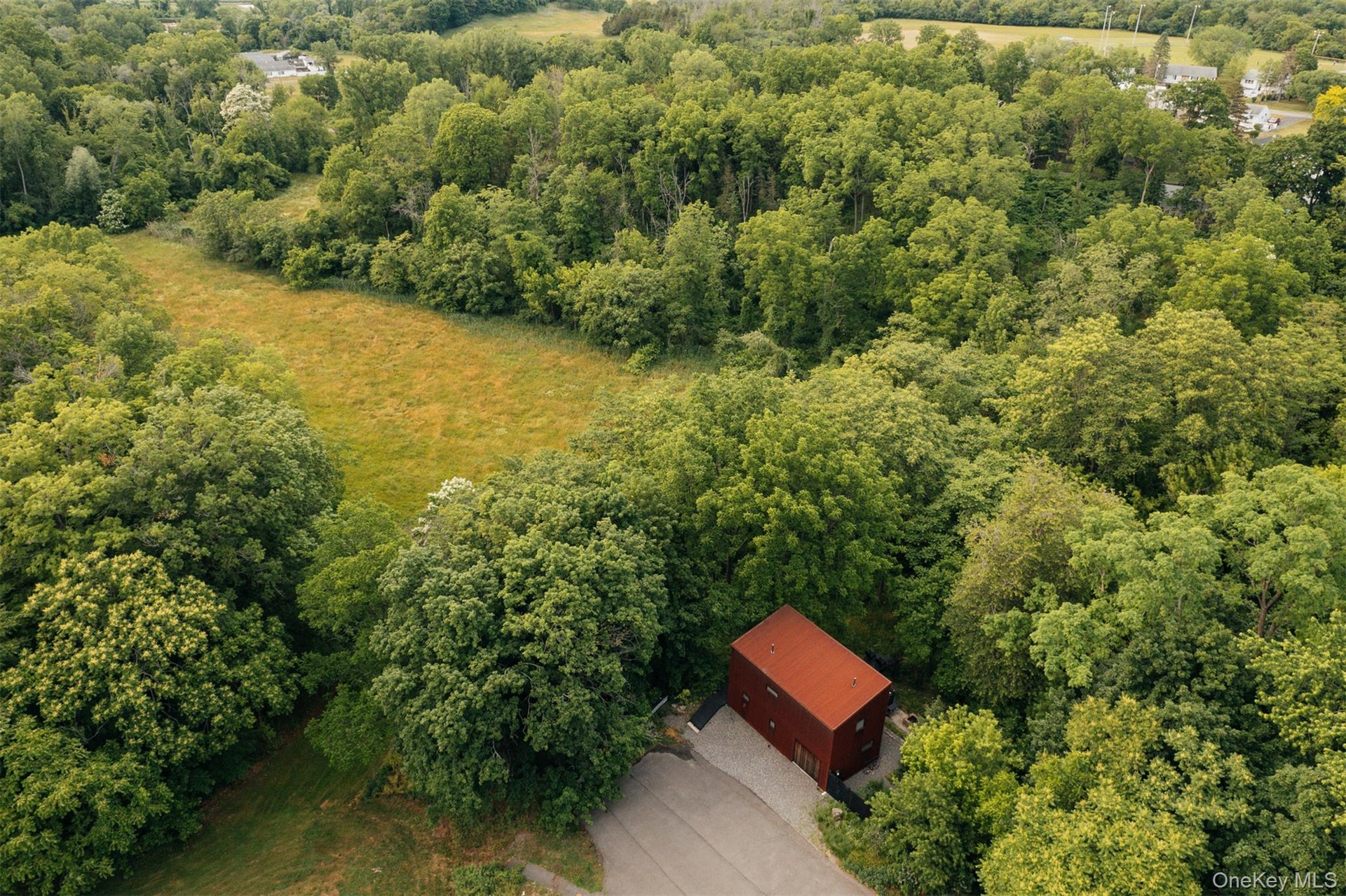 View of subject property with a forest