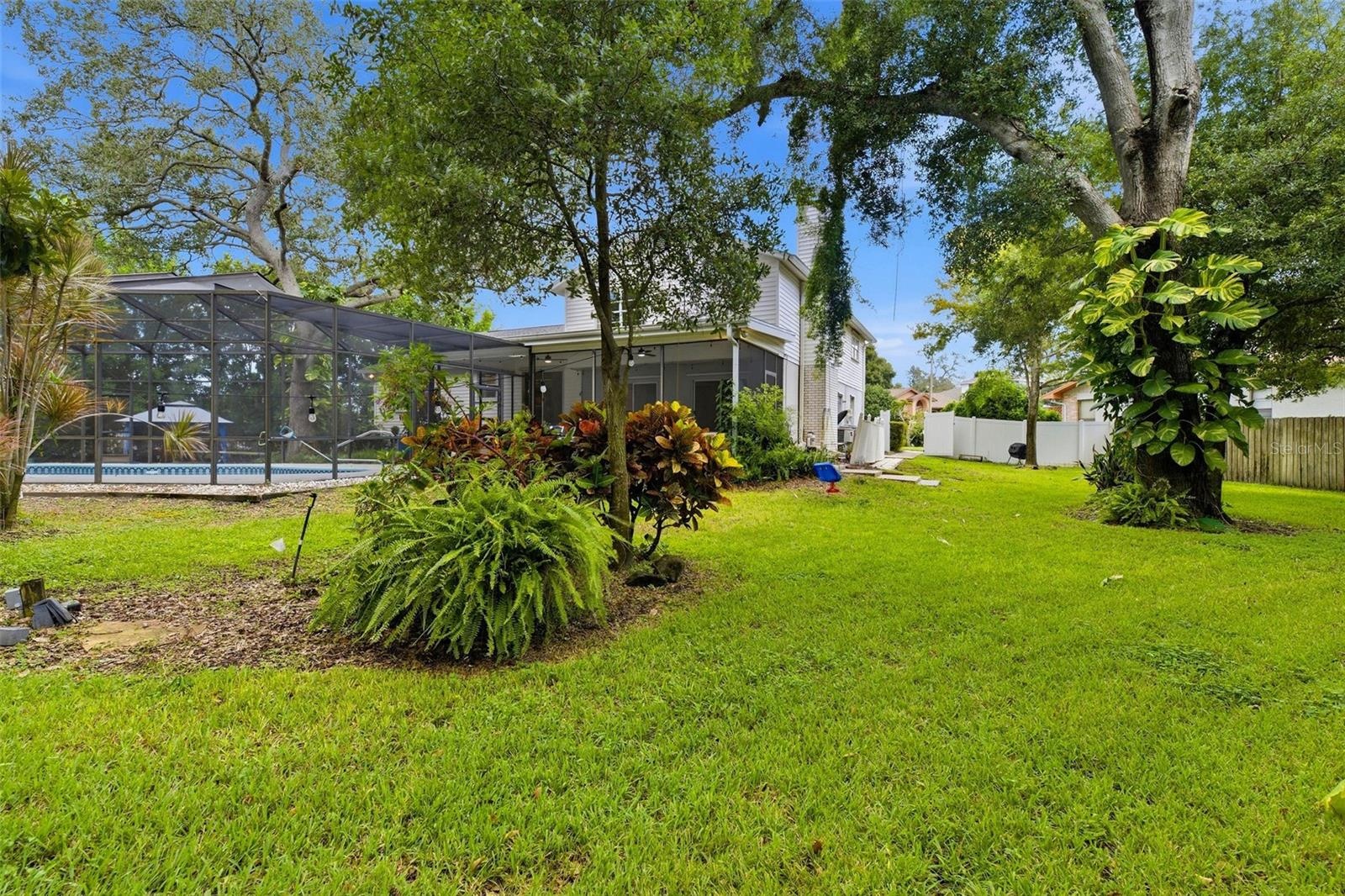 yard
