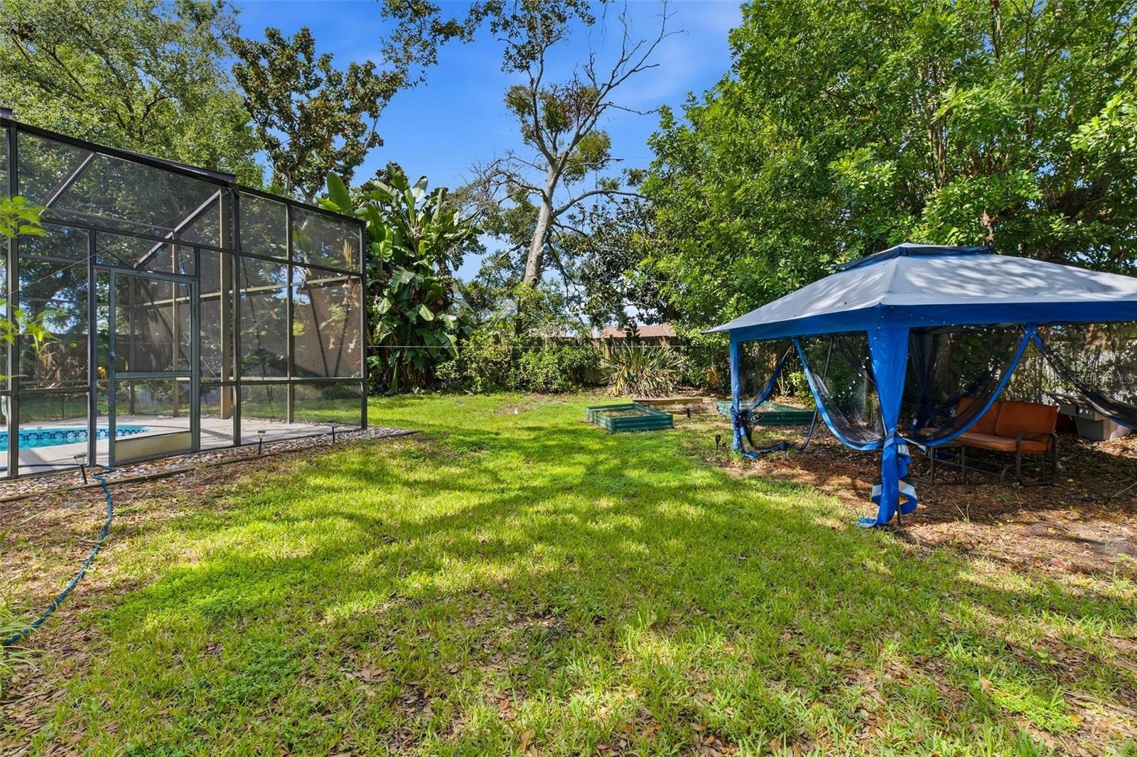 huge backyard
