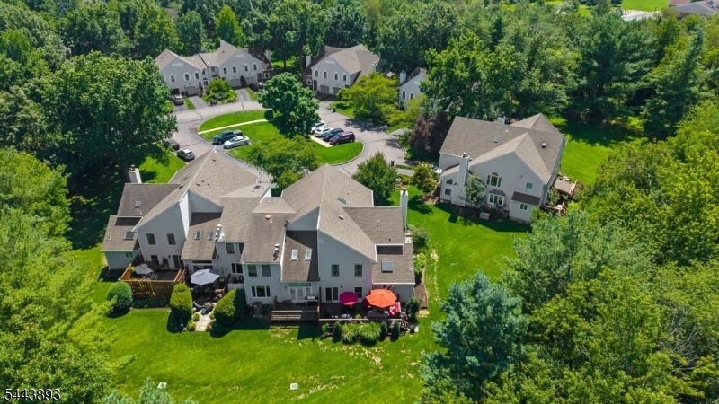 Drone View