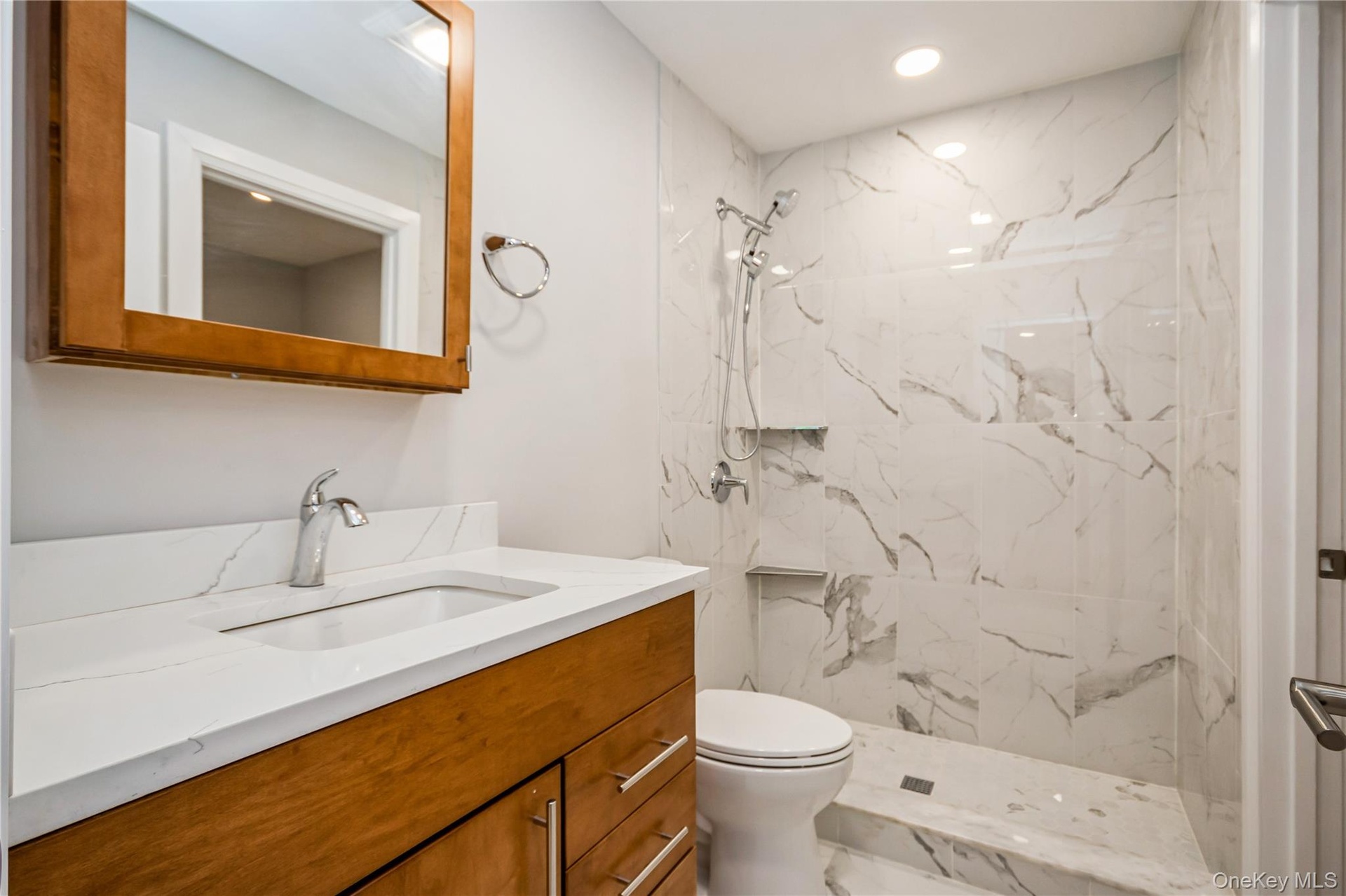 Lower level bathroom
