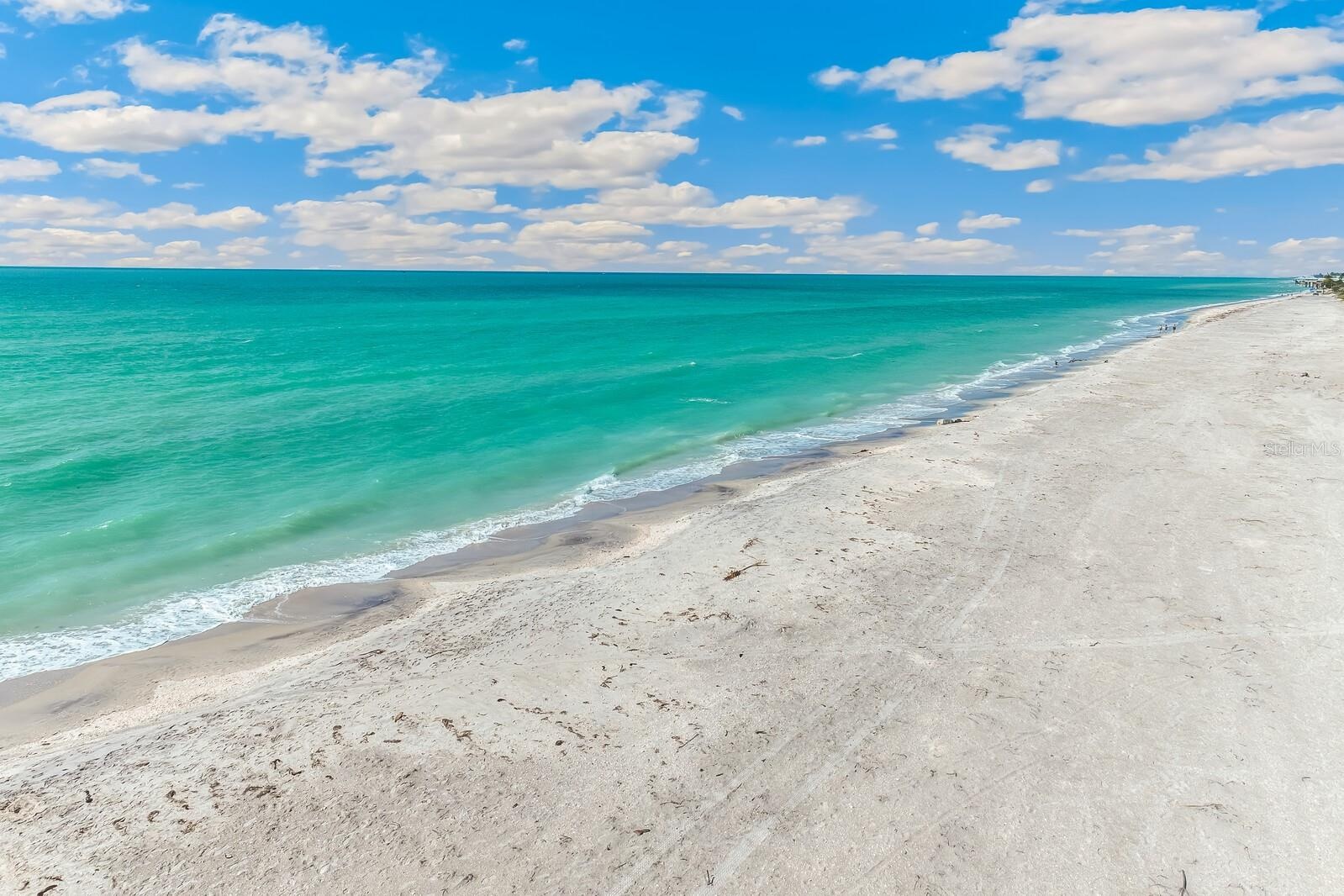 Gorgeous private beach on Little Gasparilla Island!