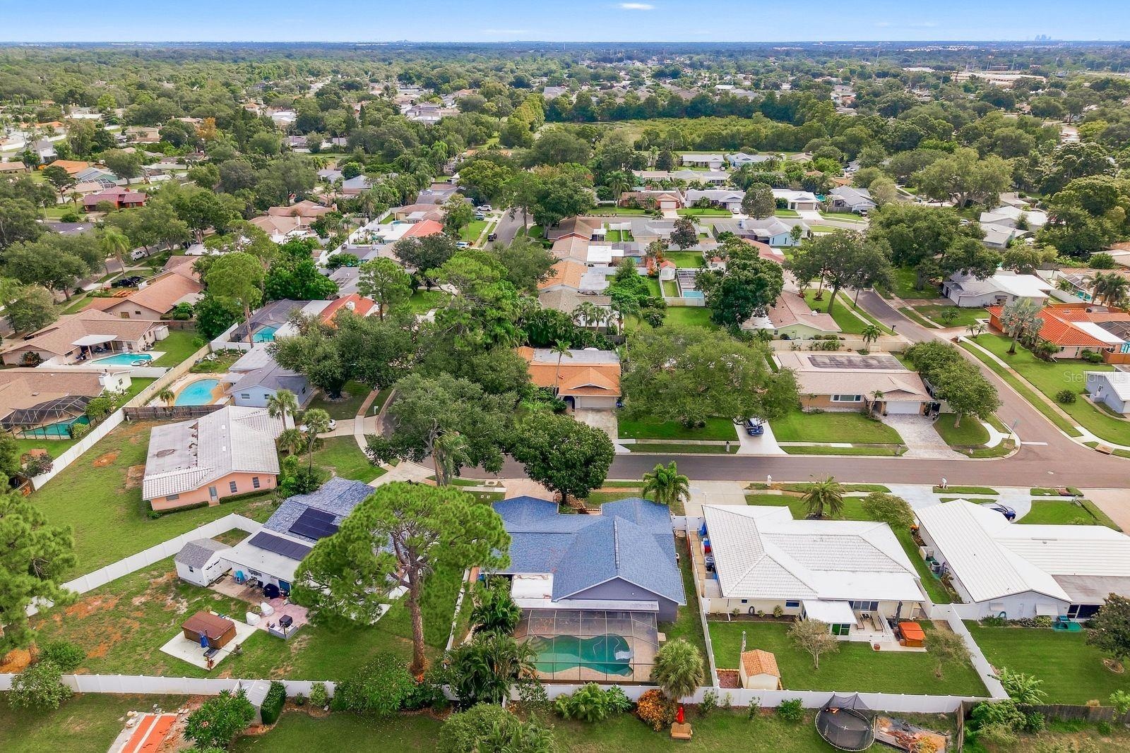 AERIAL