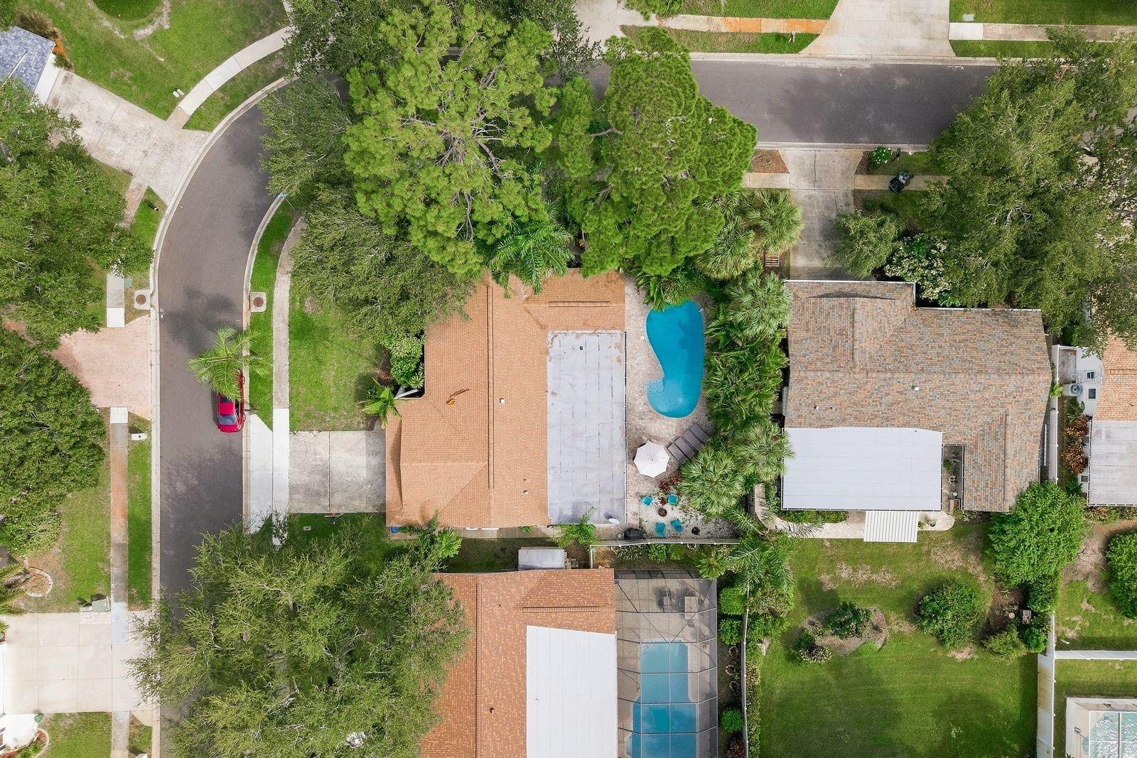 AERIAL