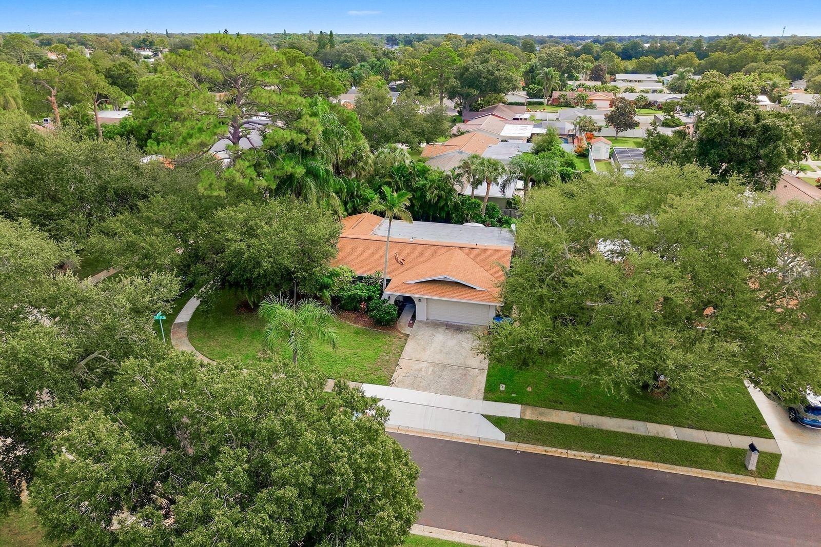 AERIAL